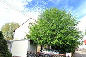 Familienheim mit großem Garten, Terrasse, Garage in begehrter Lage, bezugsfrei..... – Ludwigshafen am Rhein – Vorschaubild 5