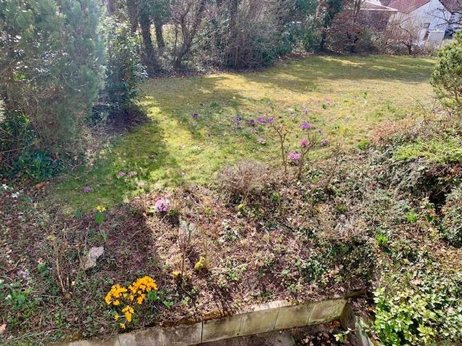 Frühlingsimpressionen