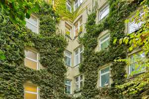 ***bezugsfreie Einzimmer- Altbauwohnung im beliebten Schöneberg*** – Berlin – Vorschaubild 2