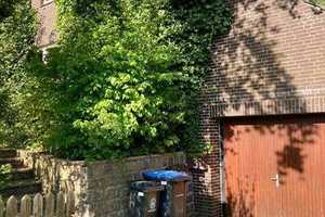 Einfamilienhaus in Sackgassenlage in Wacken – Steinburg (Kreis) – Vorschaubild 3