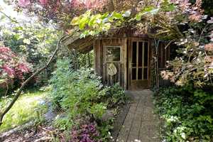 RESERVIERT! Wohnhaus nebst Doppelcarport und tollem Garten mit beeindruckender Pflanzenvielfalt! – Lippe (Kreis) – Vorschaubild 8