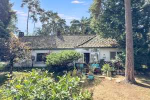 Bequemer Bungalow mit großem Grundstück und naturnaher Lage – Diepholz (Kreis) – Vorschaubild 3