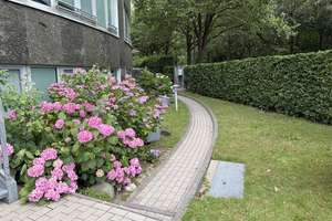 Penthouse-Maisonette von/an Privat – Die vollständige Adresse der Immobilie erhältst du vom Anbieter., 22175 Bramfeld, Hamburg – Vorschaubild 7