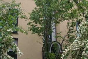 Sonnige 2,5-Zimmer-Dachgeschosswohnung (inkl. Nebenraum) mit großem Freisitz-Balkon in grünem Umfeld