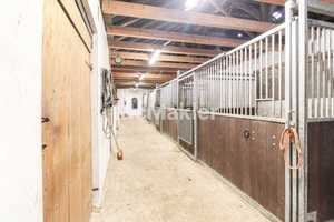 Traumhafte Deichlage für Pferdefreunde: Gehobenes Bauernhaus mit Reithalle, Stallboxen und Hallenbad – Leer (Kreis) – Vorschaubild 18