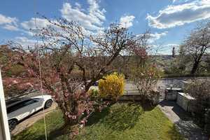 PROVISIONSFREI 
Exklusive Architektenvilla im Grünen - vielfältig nutzbar – Esslingen (Kreis) – Vorschaubild 13
