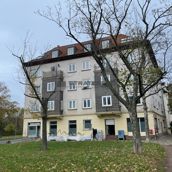 Zentrale Lage direkt am Stadtring – begrüntes Umfeld – kurzfristig verfügbar