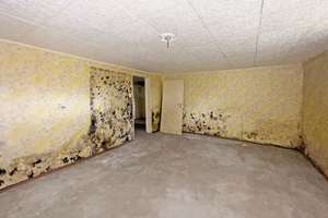 Großzügiges Einfamilienhaus auf einem Traumgrundstück mit Pool, Garage & Platz für die ganze Familie – Birnhornweg 11, 12107 Mariendorf, Berlin – Vorschaubild 44