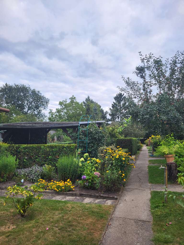 Immobilie in Calau - Geräumiges Einfamilienhaus mit Garage in Calau - Bild 4