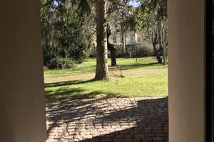 Souterrain Business-Apartment 32,5 m² zum Innenausbau im Villenvirtel Leutzsch in Leipzig – Rathenaustraße 30, 4179 Leutzsch, Leipzig – Vorschaubild 97