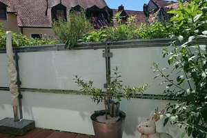 Möblierte 2 ZKB mit zauberhaftem Balkon mitten in der Altstadt Ingolstadts – Gerbergasse 5, 85049 Mitte, Ingolstadt – Vorschaubild 35
