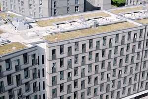 Wohnen mit Charakter: Kompaktes Apartment in Hamburg-Wilhelmsburg – Dratelnstraße 32b 32b, 21109 Wilhelmsburg, Hamburg – Vorschaubild 2