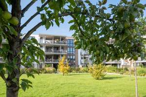 Wohnen im Park - sonnige 3-Zimmer Wohnung im 2. OG mit Blick ins Grüne – Theo-Neubauer-Straße 20, 99085 Krämpfervorstadt, Erfurt – Vorschaubild 24