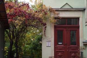 Sanierte 2-Zimmer-Wohnung mit Einbauküche in Dresden – Kaitzer Str. 106, 1187 Plauen (Stadtteil), Dresden – Vorschaubild 2