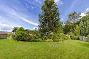 Ein Ort zum Ankommen: Bungalow mit Wohlfühlgarten – Gütersloh (Kreis) – Vorschaubild 5