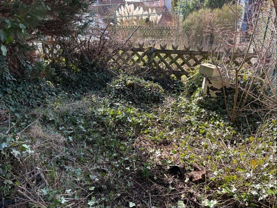 kleiner Gartenteil hinter dem 