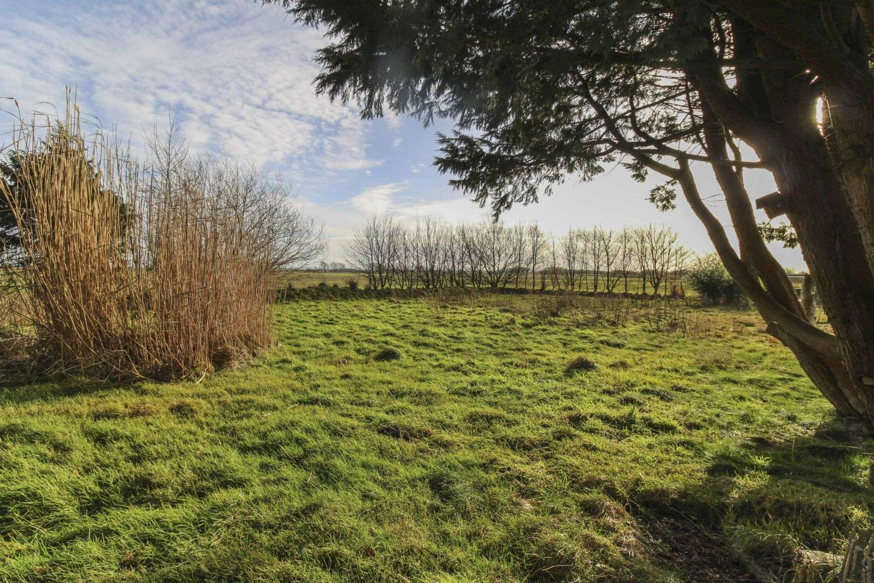 Freiheit - Landleben - Platz für Werkstatt, Hobby und Gartenträume!, Nordfriesland Kreis – Bild 1