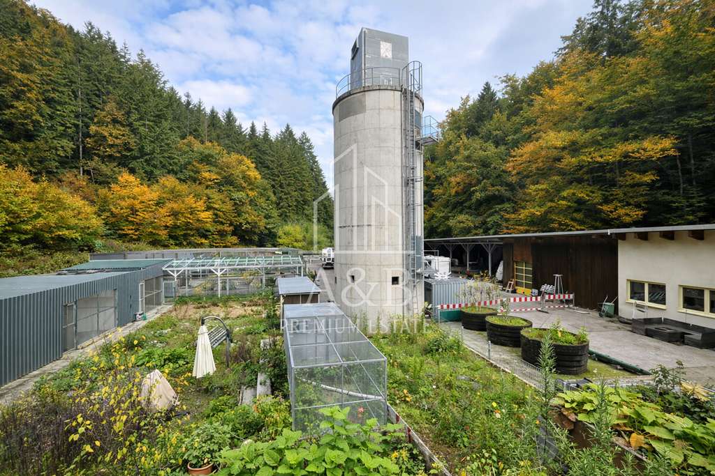 Immobilie in Frankenstein - ** ALLEINLAGE - Jagd und Forstgebiet für MACHER und Projektbegeisterte ** - Bild 2