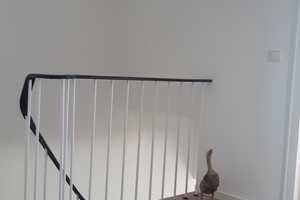 Property thumbnail 10
