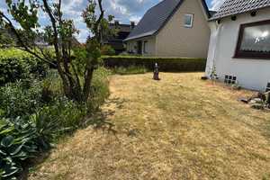 Gepflegtes und renoviertes Einfamilienhaus mit großem Garten – Pinneberg (Kreis) – Vorschaubild 17