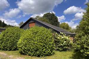 Bungalow mit Charme und großem Grundstück – Bremerhaven – Vorschaubild 2