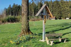 Bauernhaus/Bauernhof kaufen im Allgäu, absolute Alleinlage mit ca. 11 Hektar Wiesen für Mensch & Tie – Die vollständige Adresse der Immobilie erhältst du vom Anbieter., 87739 Breitenbrunn – Vorschaubild 22