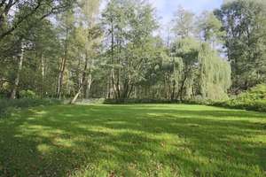 Property thumbnail 12