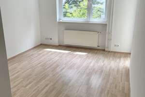 1 Zimmer Appartement frei zur Vermietung