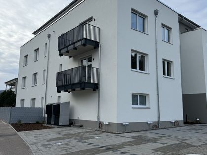 Barrierefreie 1-Zi-Wohnung store mit sep. Küche, Balkon und Aufzug zu vermieten.