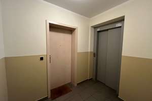 Hell, modern, mit Balkon in Hochparterre– 2-Zimmer-Wohnung zum Verlieben – 4129 Eutritzsch, Leipzig – Vorschaubild 3