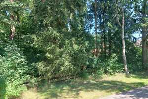 Einfamilienhaus mitten in der Nordheide (Neubau) – Harburg (Kreis) – Vorschaubild 5