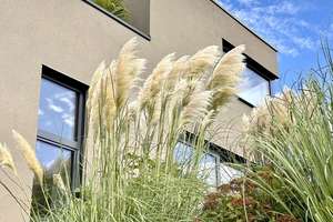 Exklusives Architektenhaus mit Design-Highlights und offenem Wohnkonzept – Die vollständige Adresse der Immobilie erhältst du vom Anbieter., 69151 Neckargemünd – Vorschaubild 21