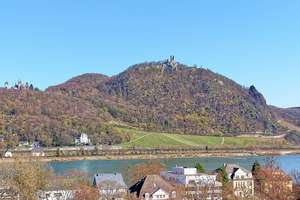 Lichtdurchfluteter Bungalow mit Atriumhof in Rheinnähe – nahe UN Campus und International School – Die vollständige Adresse der Immobilie erhältst du vom Anbieter., 53179 Mehlem, Bonn – Vorschaubild 14