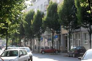 Gemütliche Single-Wohnung mit Einbauküche  – Eugen-Richter-Str. 9, 99085 Erfurt – Vorschaubild 9