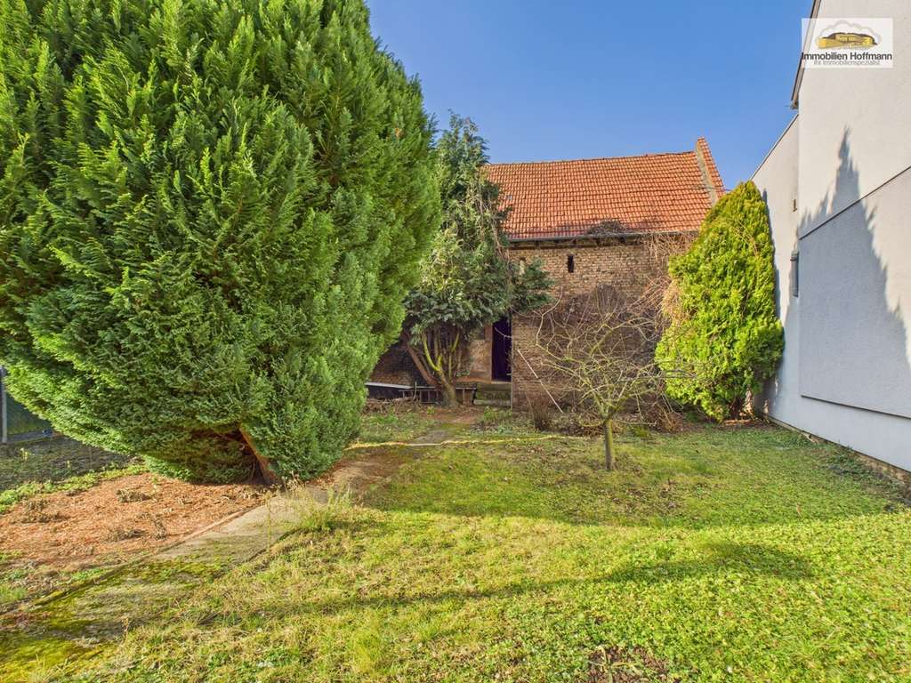 Immobilie in Niederdorfelden - Ein- bis Zweifamilienhaus mit Scheune & Bauplatz – großes Grundstück & Potenzial - Bild 2