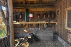 ++ ÖKO-BAUERNHOF im DRÖMLING ++ – Kämeritz 4, 39649 Jeseritz – Vorschaubild 27