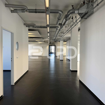 JPD - Neuhausen-Nymphenburg - coole Loftflächen 