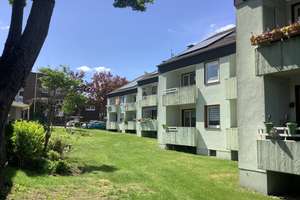 Hier lässt es sich aushalten: interessante 2,5-Zimmer-Wohnung – Niefeldstr. 16, 45894 Buer, Gelsenkirchen – Vorschaubild 2