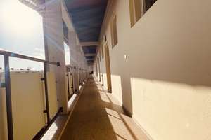 Bezugsfrei & saniert: Helle 1 Zimmer-Wohnung, großem West-Balkon, Am Gemeindepark – Am Gemeindepark 42, 12249 Lankwitz, Berlin – Vorschaubild 8