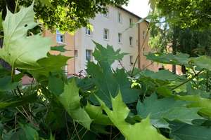 Jede Menge Platz - Großfamilien aufgepasst!