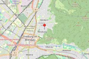 Zuhause mit Gartencharakter in Freiburg-Herdern – Die vollständige Adresse der Immobilie erhältst du vom Anbieter., 79104 Neuburg, Freiburg im Breisgau – Vorschaubild 9