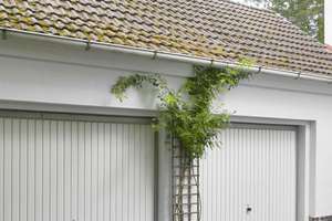 Bad Wilhelmshöhe/Flüsseviertel Freistehende 3-Familienvilla – Die vollständige Adresse der Immobilie erhältst du vom Anbieter., 34131 Bad Wilhelmshöhe, Kassel – Vorschaubild 31