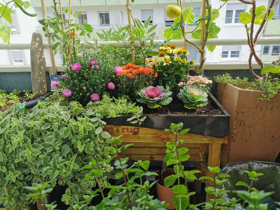 Balkon