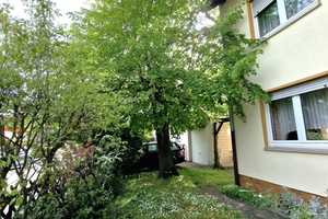 Familienheim mit großem Garten, Terrasse, Garage in begehrter Lage, bezugsfrei..... – Ludwigshafen am Rhein – Vorschaubild 4
