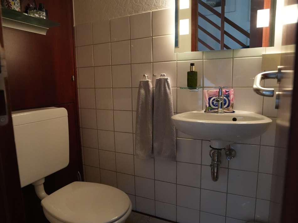 Gäste-WC im Erdgeschoss