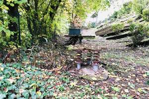 Wohnung mit Garten + Garage & Stellplatz – 65529 Waldems – Vorschaubild 22