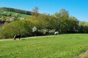 Reiterparadies am Steigerwald – saniertes Bauernhaus mit  Offenstallanlage und Ausbaureserve – Die vollständige Adresse der Immobilie erhältst du vom Anbieter., 96181 Rauhenebrach – Vorschaubild 36