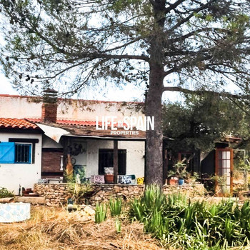 Charmante Finca mit Wasser und Strom, bezugsfertig