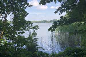 Besichtigung 17.08 11.30Uhr, neue Doppelhaushälfte mit Garten – Menzelstr. 10, 15741 Dahme-Spreewald (Kreis) – Vorschaubild 3