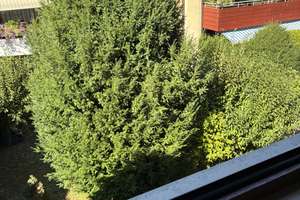 Weilimdorf, helle 3 Zimmer Wohnung mit Süd Balkon in ruhiger Lage – Die vollständige Adresse der Immobilie erhältst du vom Anbieter., 70499 Weilimdorf (Ortsteil), Stuttgart – Vorschaubild 2